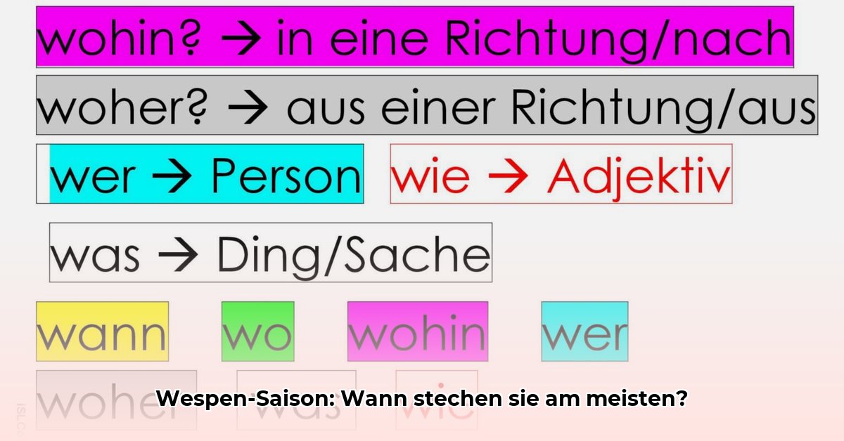 wann-sind-wespen-aktiv
